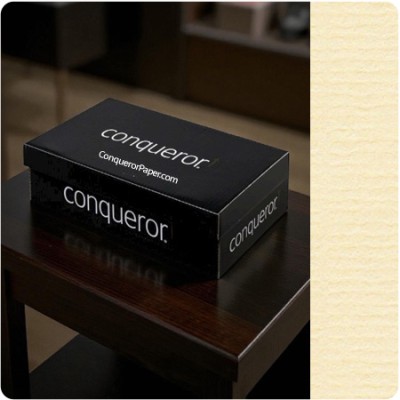 Envelopes Laid Vellum DL-110x220mm 120gsm Envelopes Laid Vellum DL-110x220mm 120gsm